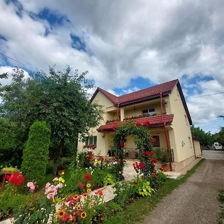 Steaua Nordului Hotel Târgu Neamţ Bagian luar foto