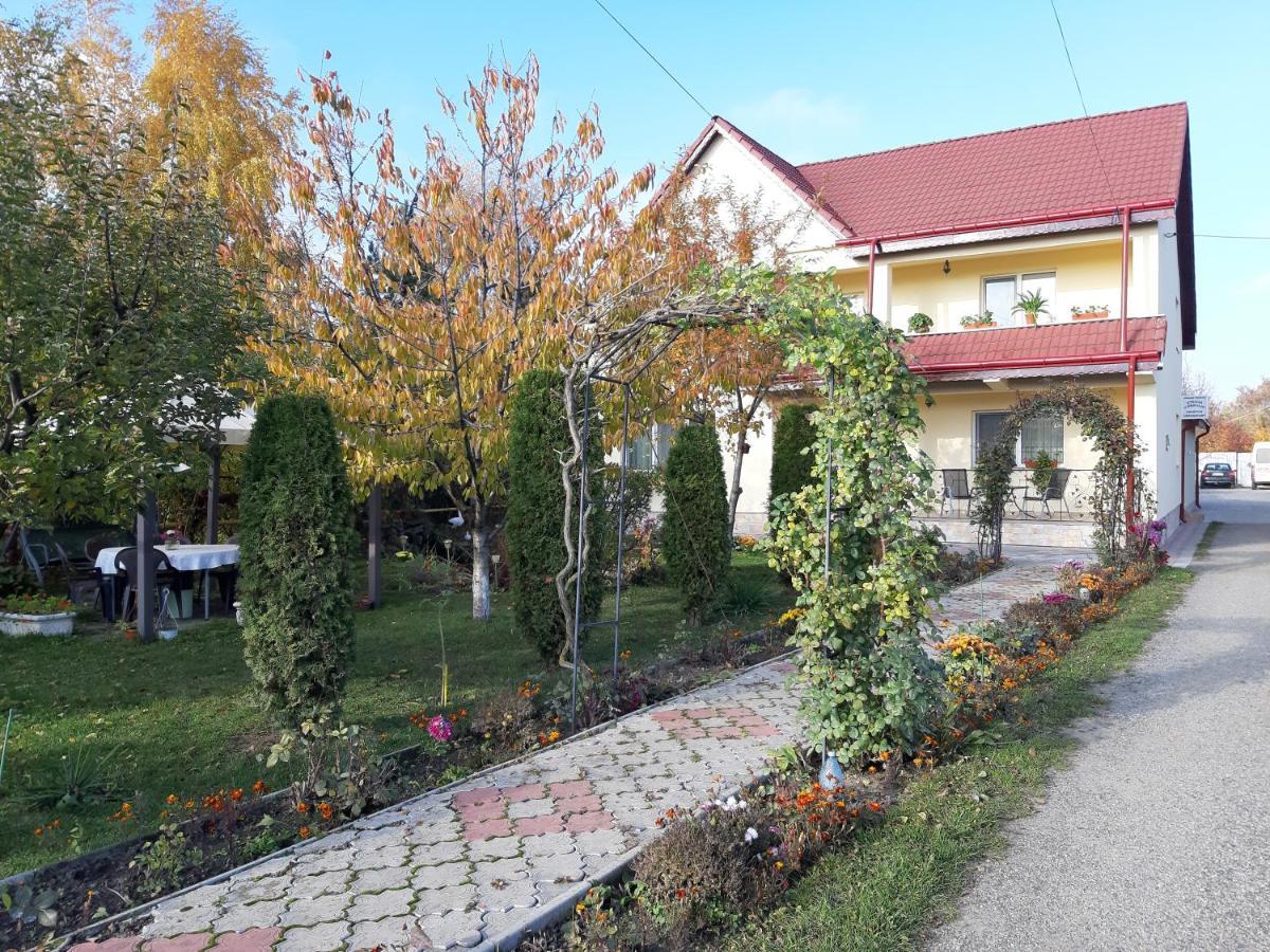 Steaua Nordului Hotel Târgu Neamţ Bagian luar foto