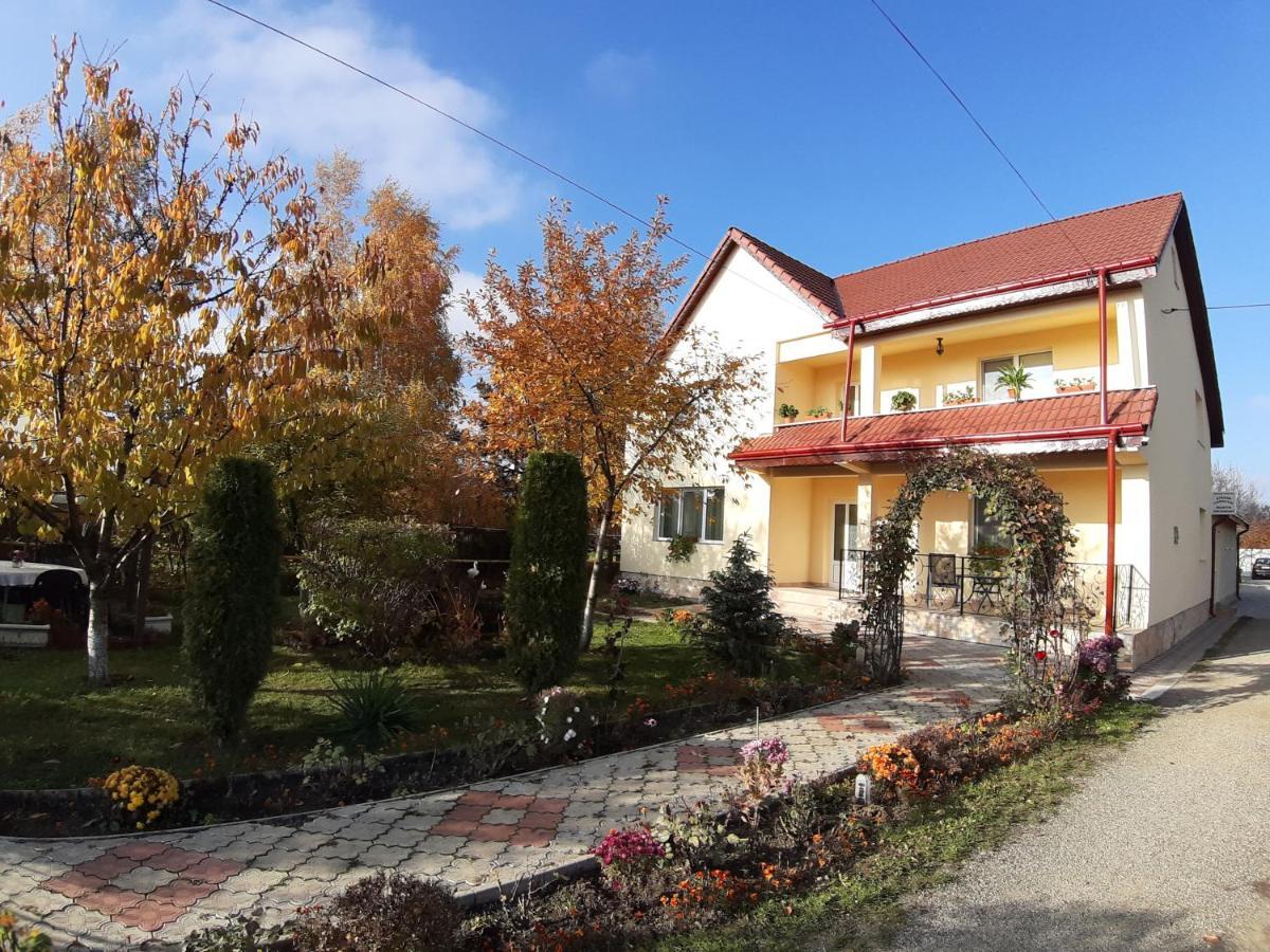 Steaua Nordului Hotel Târgu Neamţ Bagian luar foto
