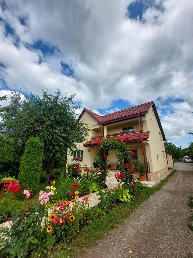 Steaua Nordului Hotel Târgu Neamţ Bagian luar foto