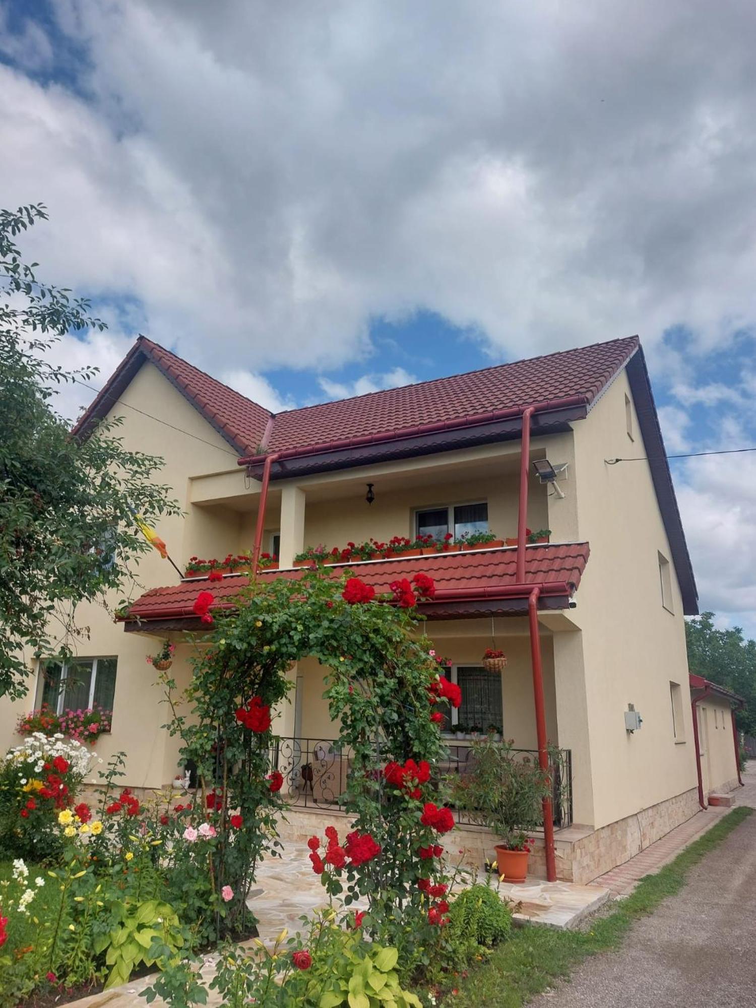 Steaua Nordului Hotel Târgu Neamţ Bagian luar foto