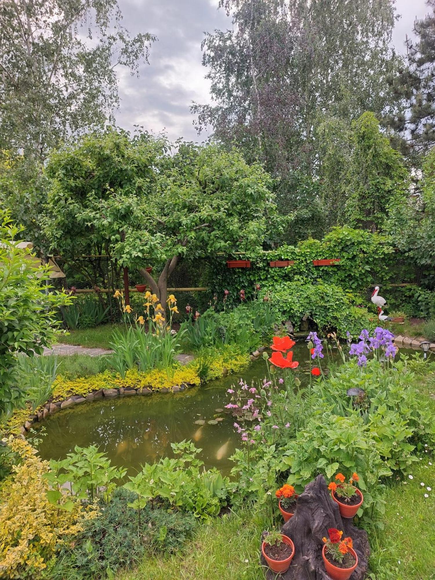 Steaua Nordului Hotel Târgu Neamţ Bagian luar foto